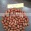 Peanut Kernal