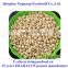 ISO/HACCP certificated Chinese blanched peanut 41/51