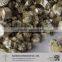 Component Expanded Vermiculite for Hydroponic