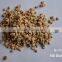 High Quality Diatomite