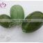 Kegel Muscles Exercises - Set of 3 Essence of Jade (TM) 100% Natural green Jade Eggs with Strings