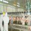 Equip for Poultry Slaughter of Chickens/slaughter Equipment /poultry Slaughter Line