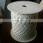Polyrope Electric Rope