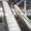 GP-I Pre-treatment Production Line for Quick Frozen Vegetable