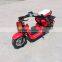 Electric Mini Scooter
