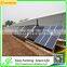 High quality agricultural solar greenhouse