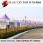 Purple PVC Roof Special Pagoda Polygonal Tent for sale