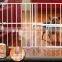 Hot selling expandable metal fence pet gate with doors