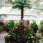 factory direct high quality Palm tree with cheap price palm tree for shopping mall decoration