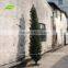 GNW BTR019 Real wood green cypress for party decoration