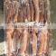 Frozen Illex Argentinus Squid