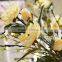 china foshan hot selling artificial handmade magnolia flowers wedding handicraft manufacturer