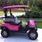 fashion color mini golf cart two seat cart China factory best price