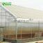 2017 Hot Selling Single Span Solar Agriculture Greenhouse For Tomato In China