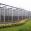 Polycarbonate Sheet Multispan Greenhouse for Rose/Orchid