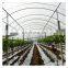 High quality cheap price agricultural indoor solar greenhouse with tent
