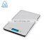 Factory Price Food Weighing Digital Balance Measuring Tool Pet Kitchen Scale