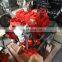 Brand new 4 stroke diesel engine EQB160-20 118kw/2500rpm 5.9L for truck