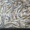 low price wholesale fresh anchovies