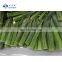 Sinocharm Frozen vegetable  IQF Frozen Okra Whole Okra Cut