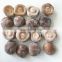 2020 New Crop 2 - 4 cm / 5 - 7 cm Top Grade Frozen Shiitake mushroom