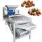 Castor Seed Hazelnut Peeling Shelling Machine