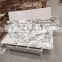 Marble slab Arabescato Corchia ,Italy marble
