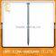 Galvanized Iron Nails