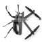 GW106 4k/1080P quadcopter rc drone with HD camera Wifi 20 mins radio control toys mini selfie drones VS SG906pro