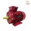 Ie3 Premium Efficiency Electric Motor