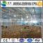 Steel structure warehouse / workshop/poultry house                        
                                                Quality Choice