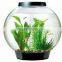 Round wall mounted acrylic fish tanks