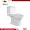 Chaozhou ceramic sanitary ware washdown one piece toilet