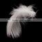 Trending hot products duck feather pillow,down feather pillow import china goods