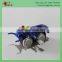 Topspeed Insect Wind Up Toy For Kids Capsule Toy