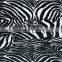 1m width Animal Skin Hydrographic Water Transfer Printing Film from China