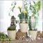 Wholesale decorative artificial cactus bonsai with competitive price