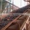 china manufacture heat resistant conveyor belt exporter