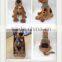 Scooby doo plush dog toys