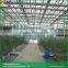 Sawtooth type vegetable greenhouse glass greenhouse