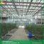 Venlo roof Glass greenhouse small indoor glass greenhouse