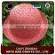 Fashionable new style Cheap straw boater hat