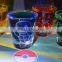 Personalized Pokemon Etched Shot Glass