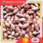 Wholesale Dry Salted Red Skin Roasted Peanuts