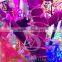DC 12V China suppliers replaceable Christmas decoration LED belt clip light