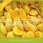 Wholesale Mango Fresh Fruits