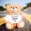 Hot Sale Plush Bear Power Bank Toys