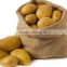 wholesale price of big size fresh potato for export