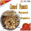 high demand export products Fried and Salted Peanuts Canned Roasted Salted Peanuts