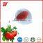 70g Sachet Tomato Paste from China Company